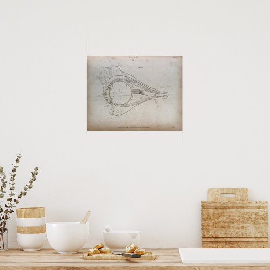  Eye Diagram Etching Print Poster (Keuken)