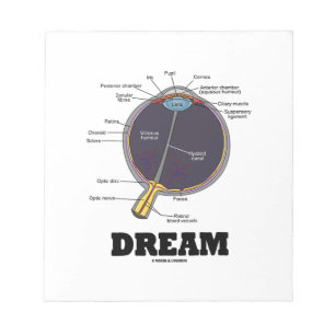 Eye Dream Anatomical Human Eyeball Humor Notitieblok