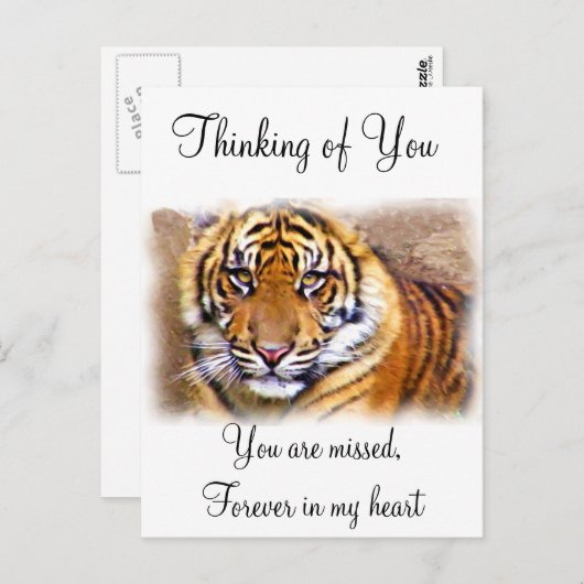 Eye is dat See_ Briefkaart (Voorkant / Achterkant)