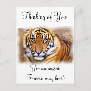 Eye is dat See_ Briefkaart