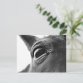 Eye of pony 1 briefkaart (Staand voorkant)