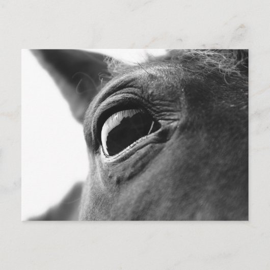 Eye of pony 1 briefkaart (Voorkant)