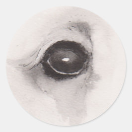 Eye of the Bear – Gaze Collection Ronde Sticker