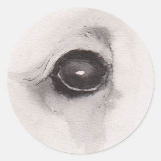 Eye of the Bear – Gaze Collection Ronde Sticker