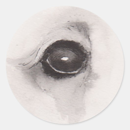 Eye of the Bear – Gaze Collection Ronde Sticker (Voorkant)