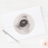 Eye of the Bear – Gaze Collection Ronde Sticker (Envelop)