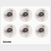 Eye of the Bear – Gaze Collection Ronde Sticker (Vel)