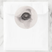 Eye of the Bear – Gaze Collection Ronde Sticker (Tas)