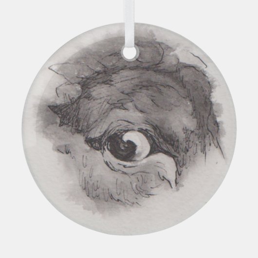 Eye of the Bison – Gaze Collection Glas Ornament (Voorkant)