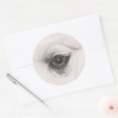 Eye of the Camel – Gaze Collection Ronde Sticker (Envelop)