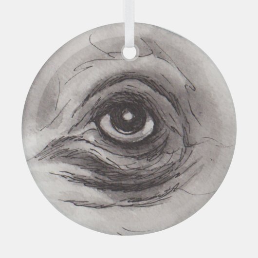 Eye of the Hippo – Gaze Collection Glass Ornament (Voorkant)