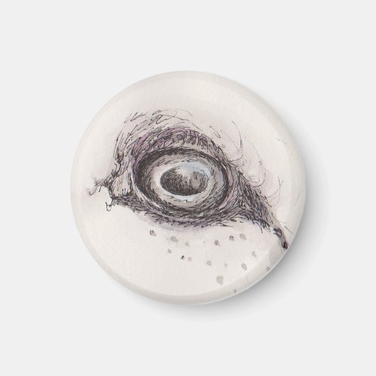 Eye of the sheep – Gaze Collection Magneet (Voorkant)