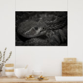 eye of the snake poster (Keuken)