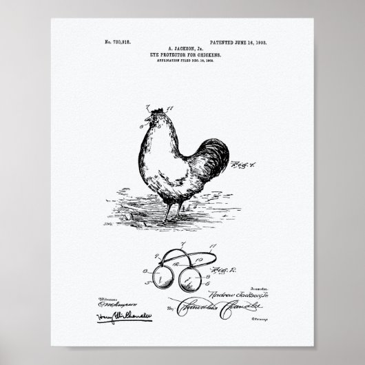 Eye Protector Kippen 1903 Patent Art White Paper Poster (Voorkant)