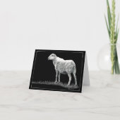 "Eye See Ewe" — Kaart schapen (Voorkant)