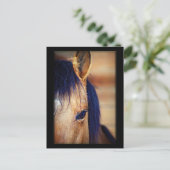 Eye Spy - Briefkaart (Staand voorkant)