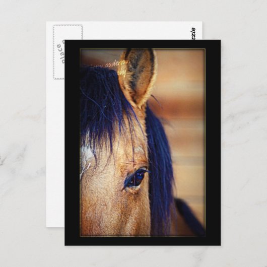 Eye Spy - Briefkaart (Voorkant / Achterkant)