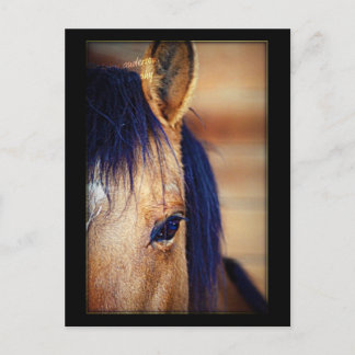 Eye Spy - Briefkaart