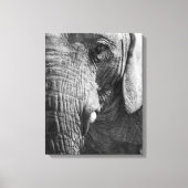 Eye Spy Canvas Afdruk (Voorkant)