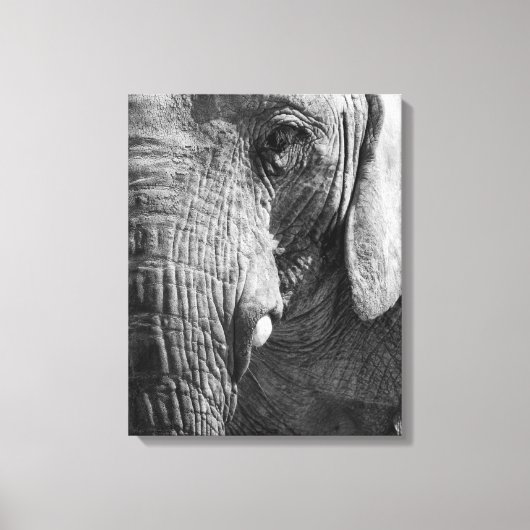 Eye Spy Canvas Afdruk (Voorkant)