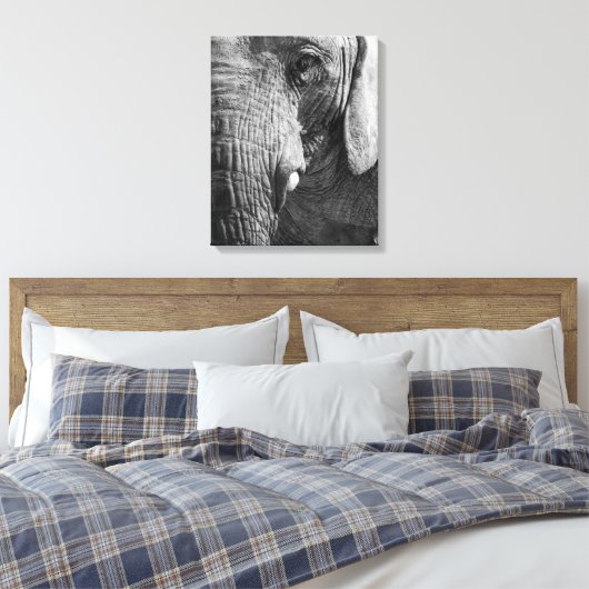 Eye Spy Canvas Afdruk (Insitu (Slaapkamer))