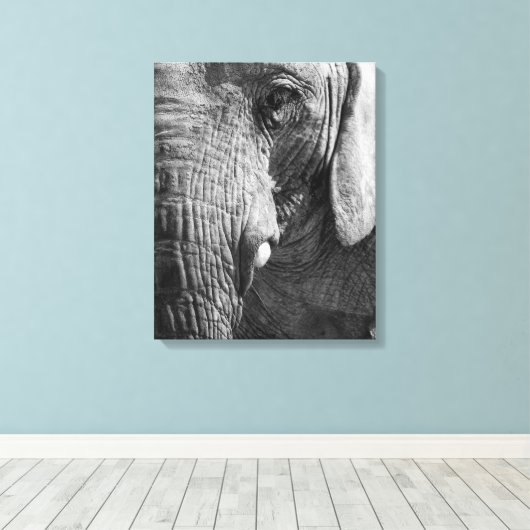Eye Spy Canvas Afdruk (Insitu (Houten vloer))