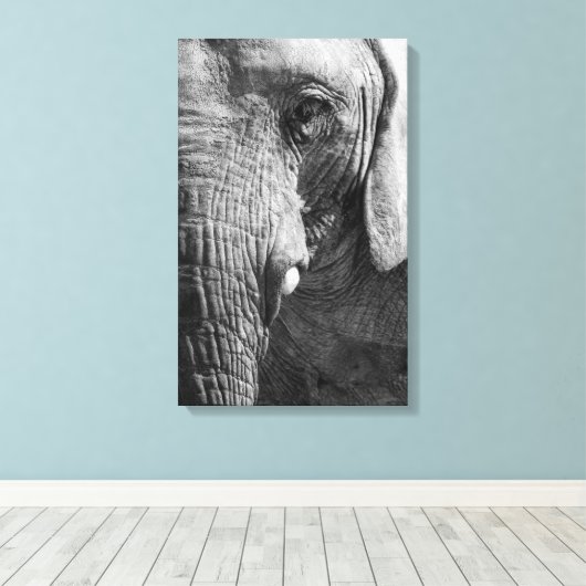 Eye Spy Canvas Afdruk (Insitu (Houten vloer))