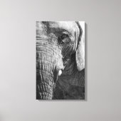 Eye Spy Canvas Afdruk (Voorkant)