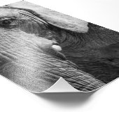 Eye Spy Foto Afdruk (Hoek)