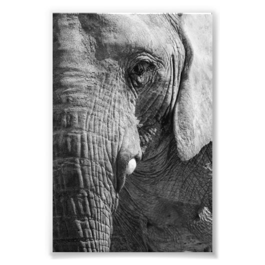 Eye Spy Foto Afdruk (Voorkant)