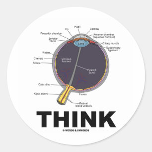 Eye Think (ik denk anatomische Humor) Ronde Sticker
