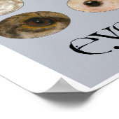 EyeAmArt Collectie van bedreigde dierogen Poster (Hoek)