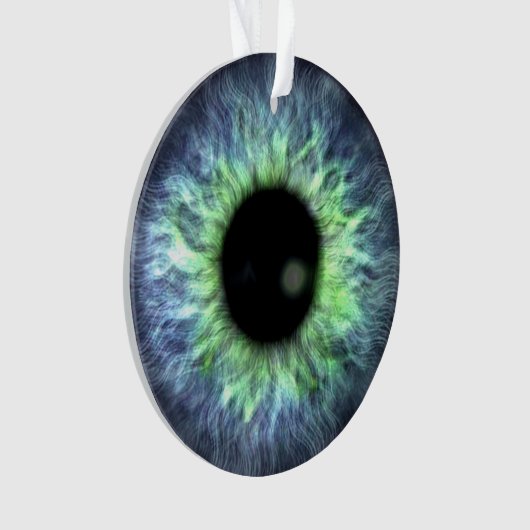 Eyeball Blue Green Gift  Ornament (voorkant)