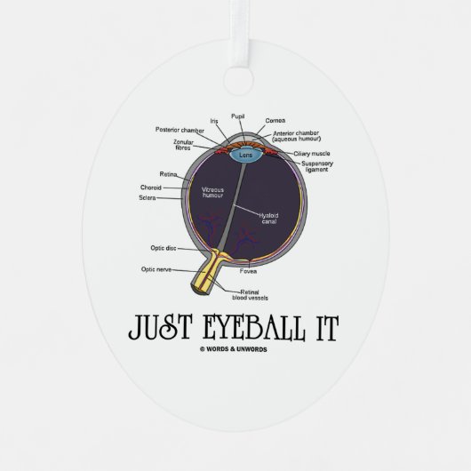 Eyeball It Human Eye Anatomee Geek Advice Metalen Ornament (Voorkant)