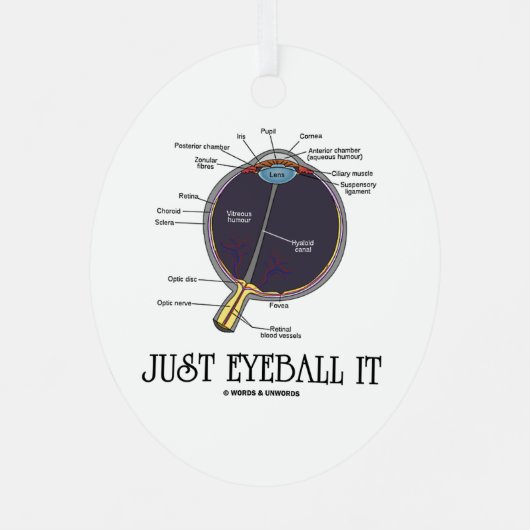 Eyeball It Human Eye Anatomee Geek Advice Metalen Ornament (Achterkant)