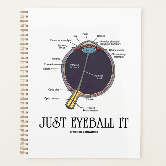 Eyeball It Human Eye Anatomee Geek Advice Planner (Voorkant)