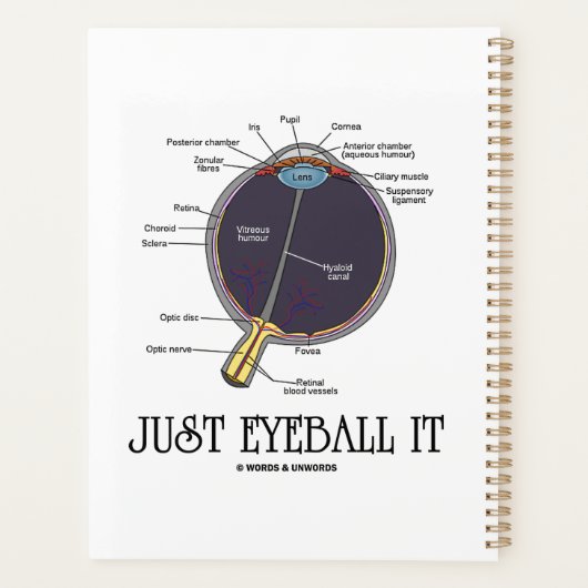 Eyeball It Human Eye Anatomee Geek Advice Planner (Achterkant)