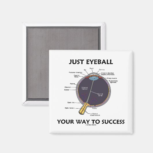 Eyeball je weg naar succes (ooganatomie) magneet (Voorkant / Achterkant)
