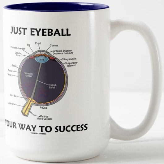 Eyeball je weg naar succes (ooganatomie) tweekleurige koffiemok