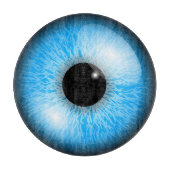 EYEBALL SNIJPLANK (Voorkant)