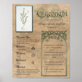 Eyebright Herbal Book of Shadows Pagan Wiccan Poster