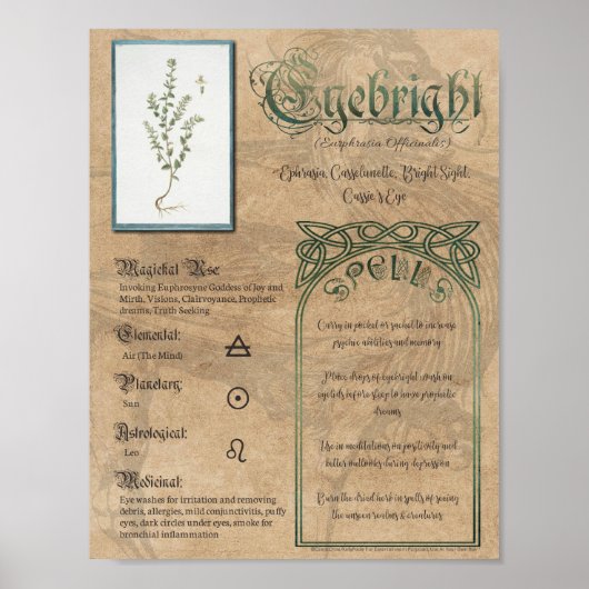 Eyebright Herbal Book of Shadows Pagan Wiccan Poster (Voorkant)