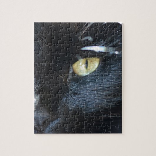 Eyeing van de kat u legpuzzel (Verticaal)
