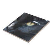Eyeing van de kat u tegeltje (Zijkant)