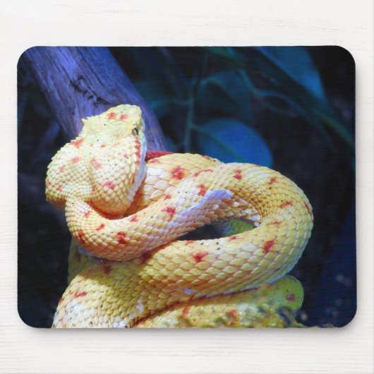 Eyelash Viper Muismat (Voorkant)