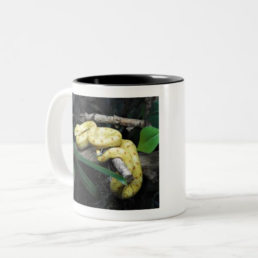 Eyelash Viper Tweekleurige Koffiemok (Voorkant links)