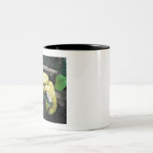 Eyelash Viper Tweekleurige Koffiemok (Center)