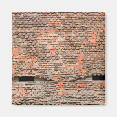 Eyelike dakkapellen in een betegeld dak magneet (Voorkant)