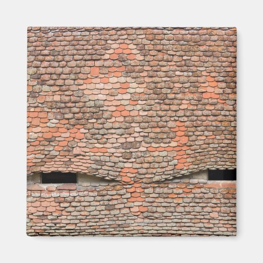 Eyelike dakkapellen in een betegeld dak magneet (Voorkant)