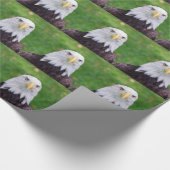Eyes of a Bald Eagle Cadeaupapier (Hoek)